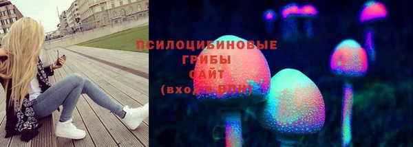 СК Новокубанск