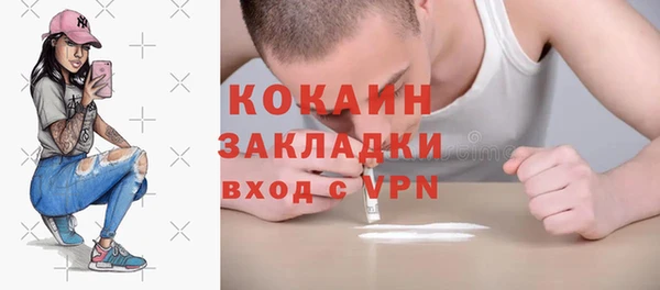шишки Алексин