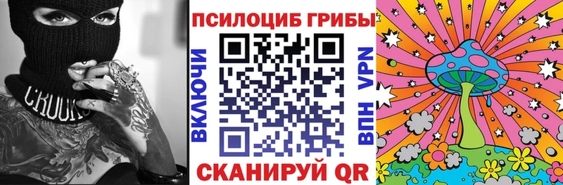 наркошоп  Суджа  Псилоцибиновые грибы ЛСД 